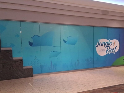 Window & Wall Graphics Photo